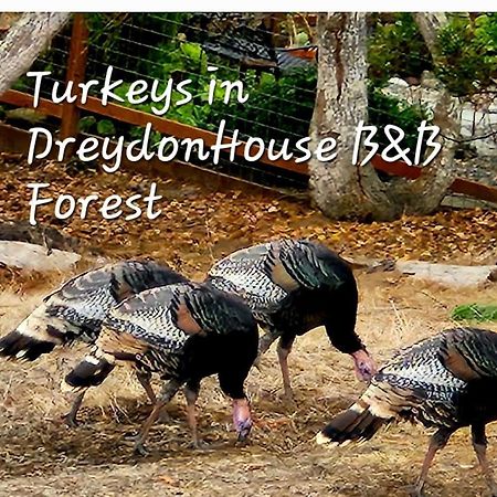Dreydon House Bed And Breakfast 坎布里亚 外观 照片