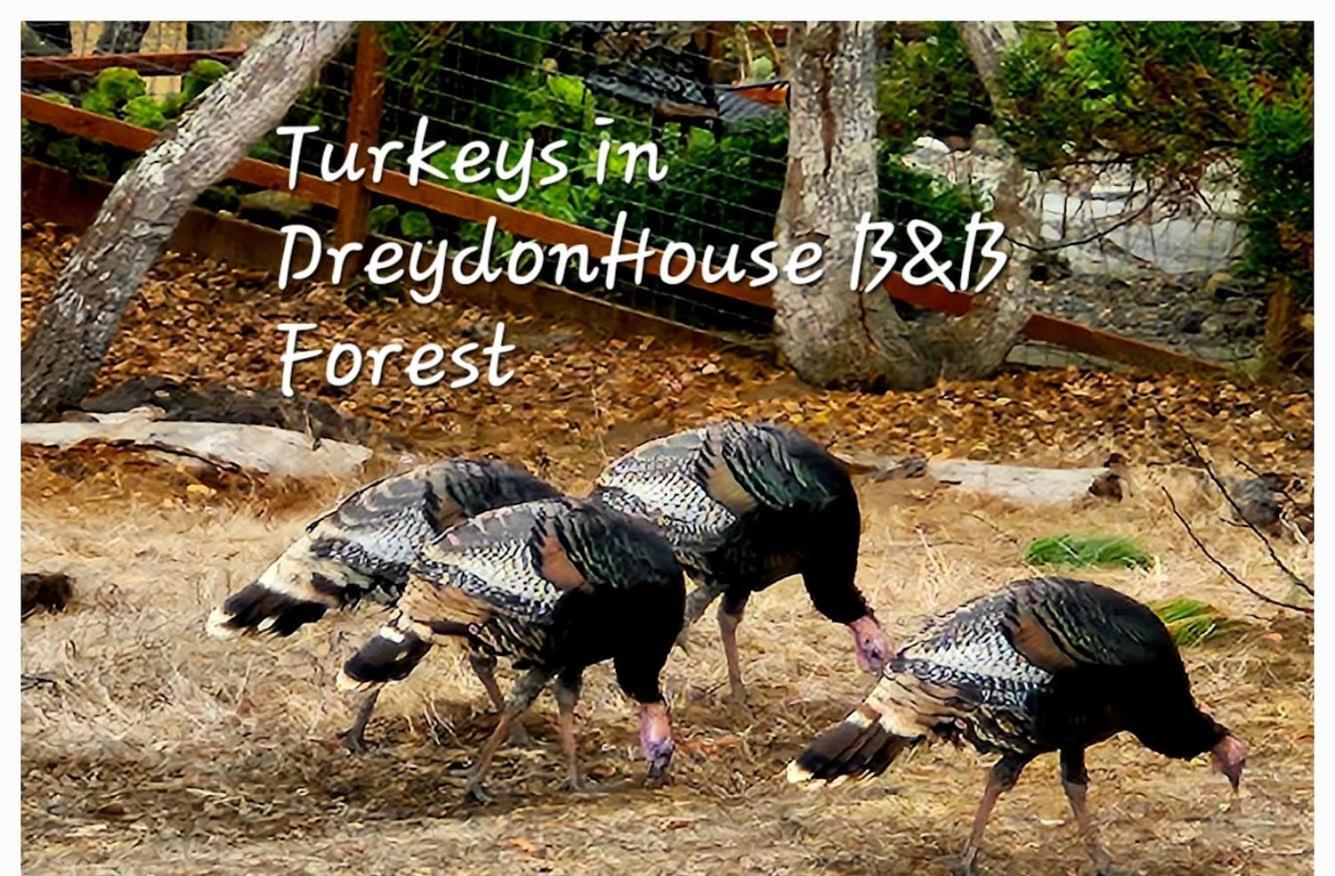Dreydon House Bed And Breakfast 坎布里亚 外观 照片